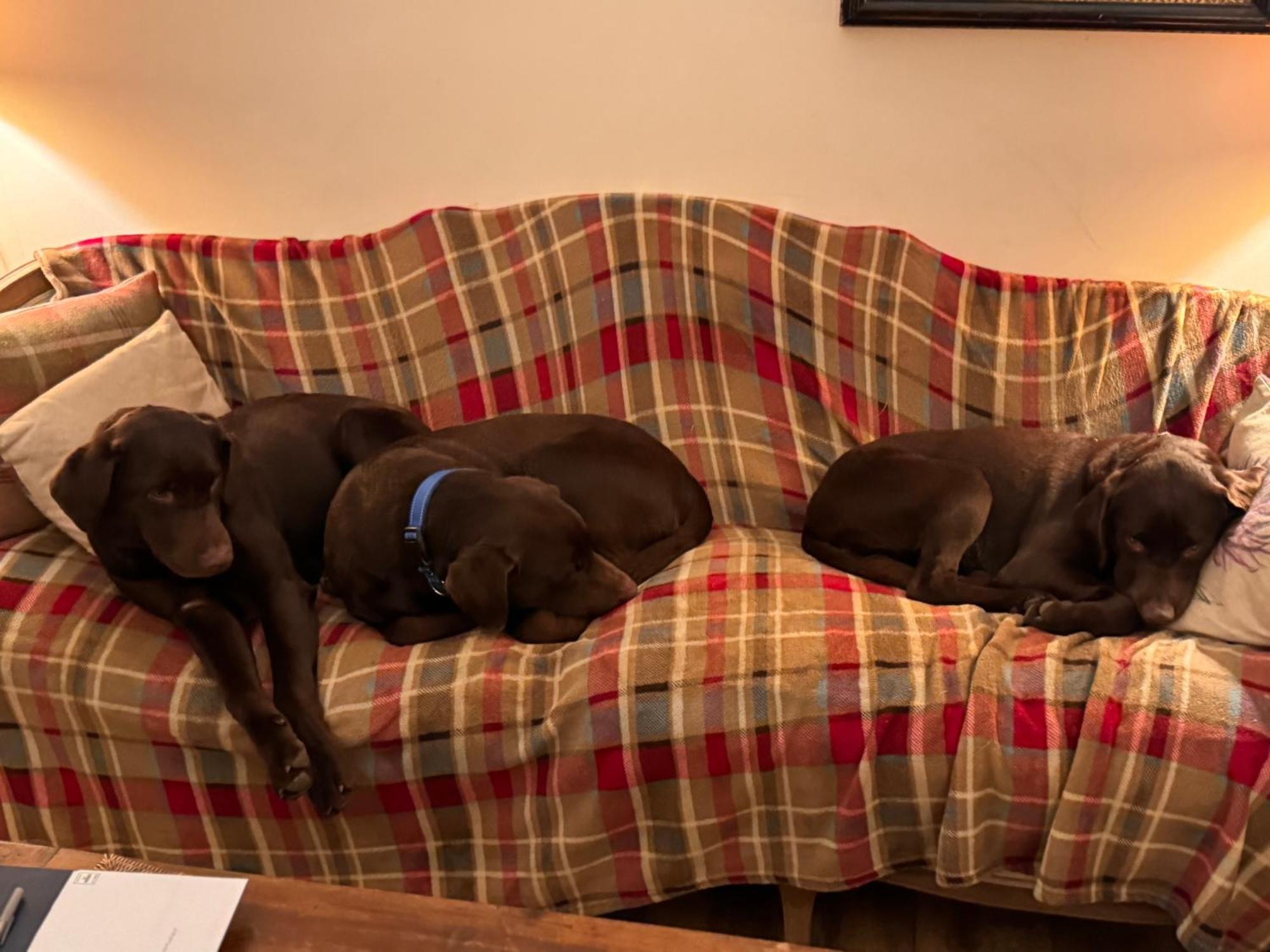 The West Highland Way Pitches Hotel กลาสโกว์ ภายนอก รูปภาพ